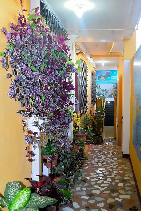Tintorera Guest House Puerto Ayora  Apartment
