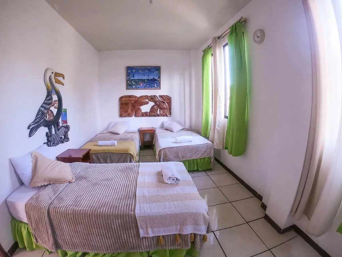Tintorera Guest House Puerto Ayora  0*, Puerto Ayora (Galapagos Islands)