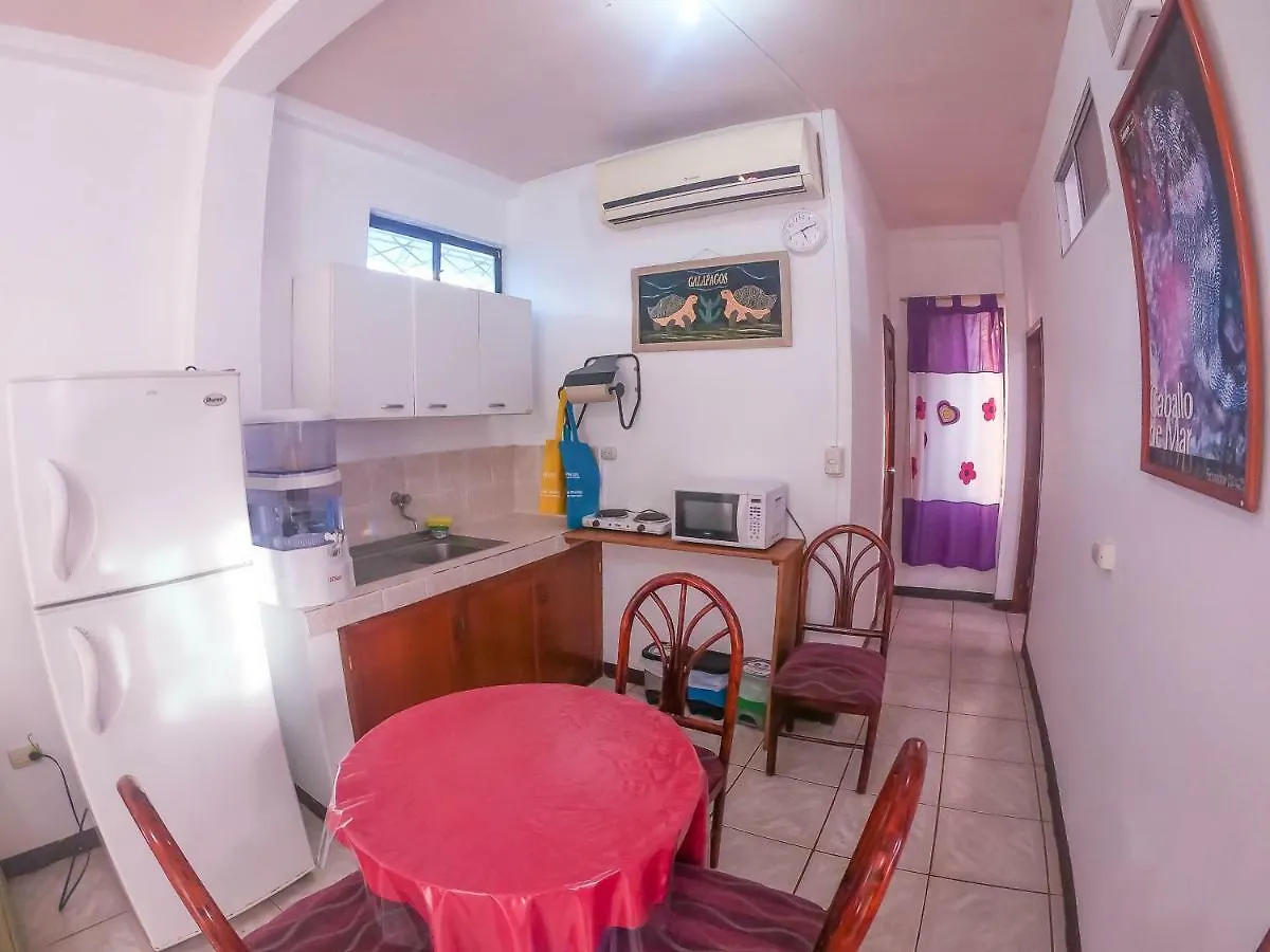 Apartment Tintorera Guest House Puerto Ayora  Ecuador