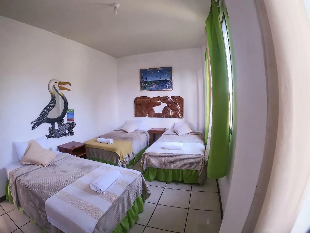 Tintorera Guest House Puerto Ayora  0*, Puerto Ayora (Galapagos Islands) Ecuador